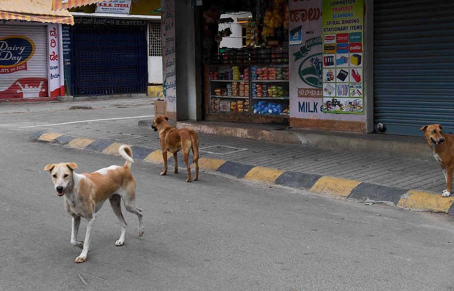 ಸಾಂದರ್ಭಿಕ ಚಿತ್ರ
