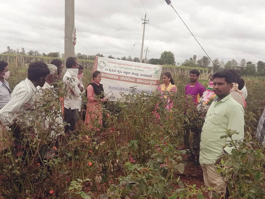 ಚಿಂತಾಮಣಿ ತಾಲ್ಲೂಕಿನ ಕುರುಬೂರಿನ ಕೃಷಿ ವಿಜ್ಞಾನ ಕೇಂದ್ರ ಗಿಡ್ನಹಳ್ಳಿಯಲ್ಲಿ ಹಮ್ಮಿಕೊಂಡಿದ್ದ ಗುಲಾಬಿ ಬೆಳೆಯ ತರಬೇತಿ ಕಾರ್ಯಕ್ರಮದಲ್ಲಿ ಭಾಗವಹಿಸಿದ್ದ ವಿಜ್ಞಾನಿಗಳು ಮತ್ತು ಬೆಳೆಗಾರರು