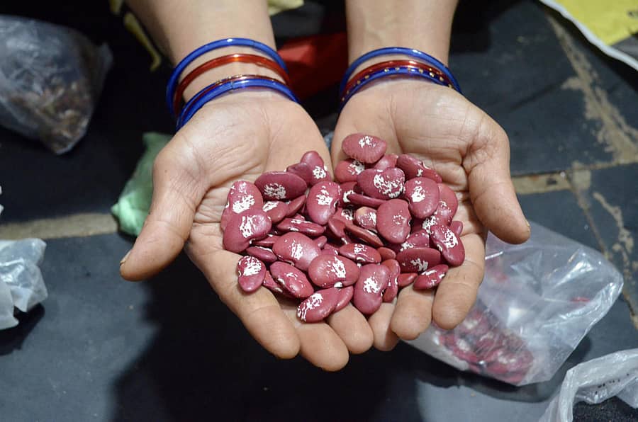 ಮಲೆನಾಡು ಬೀಜ ಮೇಳ