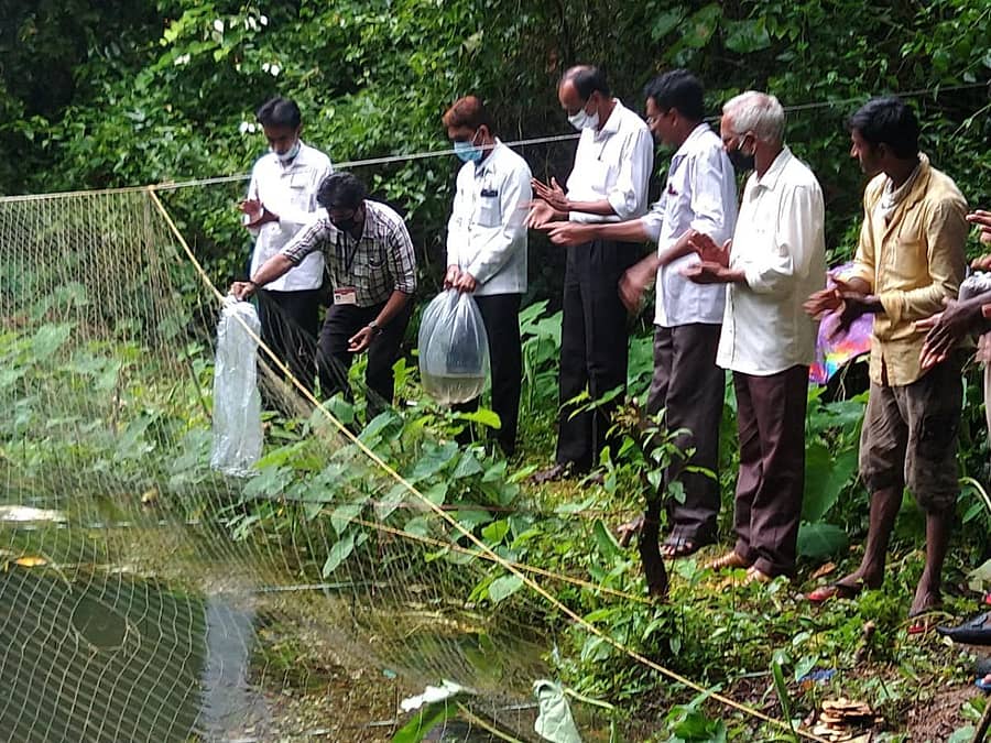 ಬೆಳ್ತಂಗಡಿ ಪಟ್ಟಣ ಪಂಚಾಯಿತಿ ಮುಖ್ಯಾಧಿಕಾರಿ ಸುಧಾಕರ್, ಕೆರೆಗೆ ಮೀನಿನ ಮರಿಗಳನ್ನು ಬಿಟ್ಟರು.