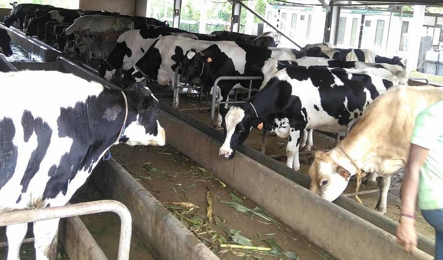 ಪ್ರಾತಿನಿಧಿಕ ಚಿತ್ರ