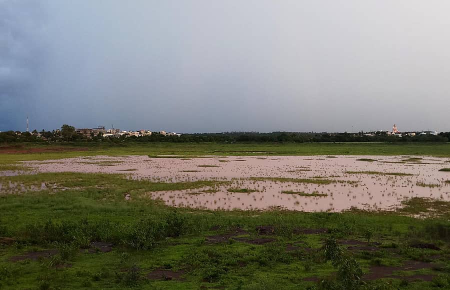 ಬಸವಕಲ್ಯಾಣದ ತ್ರಿಪುರಾಂತ ಕೆರೆಯಲ್ಲಿ ಅಲ್ಪ ಪ್ರಮಾಣದ ನೀರು ಸಂಗ್ರಹಗೊಂಡಿದೆ
