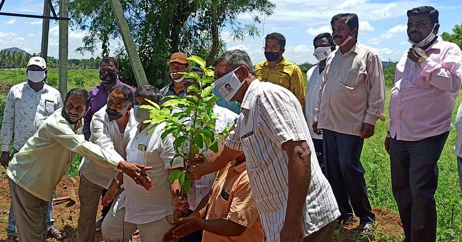 ಉಯ್ಯಂಬಳ್ಳಿ ಗ್ರಾಮದಲ್ಲಿ ಏಳಗಳ್ಳಿ ರವಿ ಗಿಡನೆಡುವ ಕಾರ್ಯಕ್ರಮಕ್ಕೆ ಚಾಲನೆ ನೀಡಿದರು