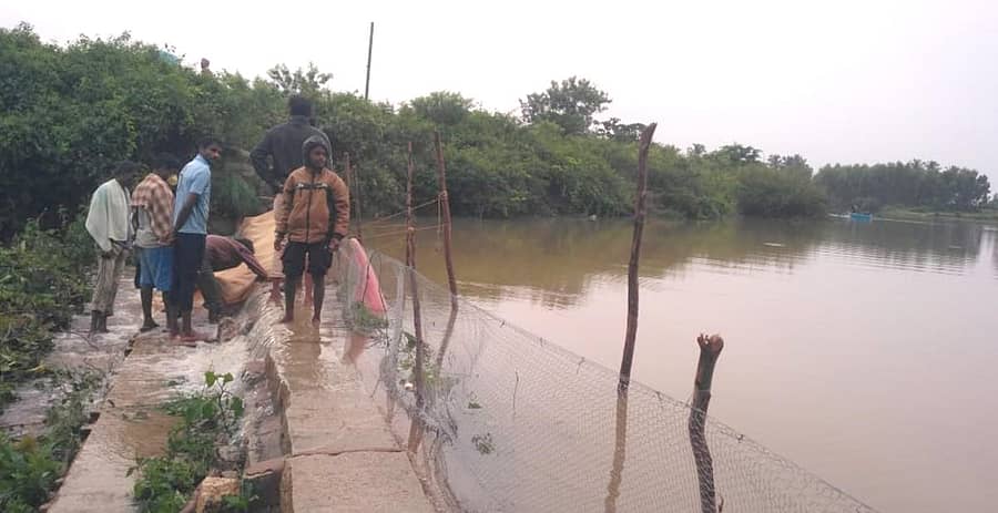 ಚಿಕ್ಕರಾಯಪ್ಪನಹಳ್ಳಿ ಕೆರೆ ಕೋಡಿಬಿದ್ದಿರುವುದು