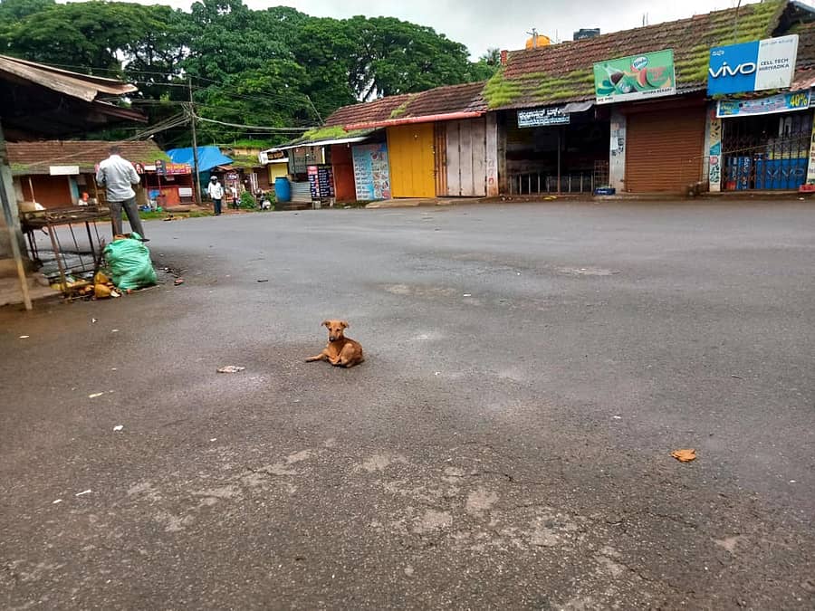 ಉಡುಪಿ ನಗರದಲ್ಲಿ ಭಾನುವಾರದ ಲಾಕ್‌ಡೌನ್‌ ವೇಳೆ ಕಂಡುಬಂದ ದೃಶ್ಯ.ಪ್ರಜಾವಾಣಿ ಚಿತ್ರ: ಉಮೇಶ್ ಮಾರ್ಪಳ್ಳಿ