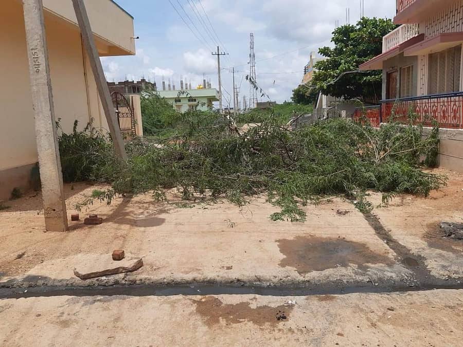 ಯಲಬುರ್ಗಾ ಪಟ್ಟಣದ 15ನೇ ವಾರ್ಡ್ನಲ್ಲಿ ಸೋಮವಾರ ರಸ್ತೆಗೆ ಮುಳ್ಳು ಹಾಕಿ ಸೀಲ್ಡೌನ್ ಮಾಡಿರುವ ದೃಶ್ಯ