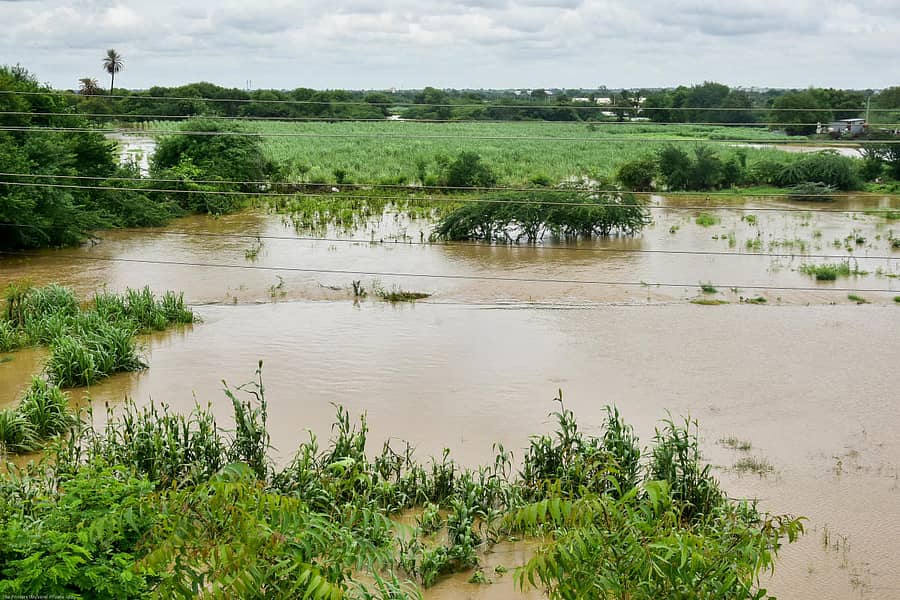 ಕಲಬುರ್ಗಿ ಹೊರವಲಯದ ಕಪನೂರ ಹಳ್ಳದ ನೀರು ಹೊಲಗಳಿಗೆ ನುಗ್ಗಿದ್ದರಿಂದ ಬೆಳೆಗೆ ಹಾನಿಯಾಗಿದೆ