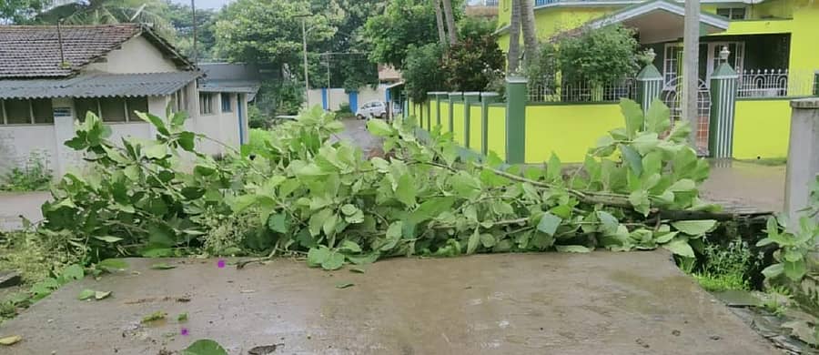 ಮುಂಡಗೋಡದ ನೆಹರುನಗರದಲ್ಲಿ ಆರೋಗ್ಯ ಸಿಬ್ಬಂದಿಗೆ ಸೋಂಕು ದೃಢಪಟ್ಟಿದ್ದರಿಂದ ರಸ್ತೆ ಬಂದ್ ಮಾಡಿರುವುದು