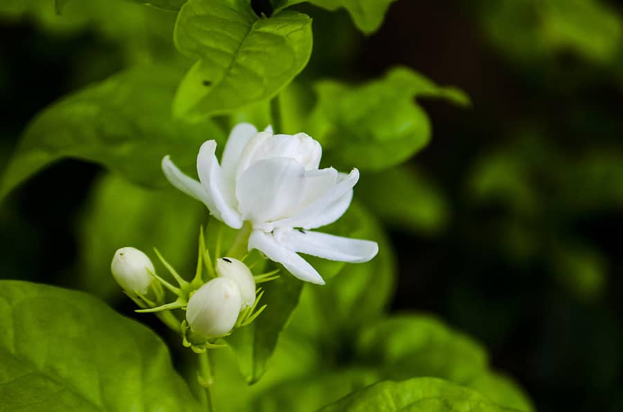 ಸಾಂದರ್ಭಿಕ ಚಿತ್ರ
