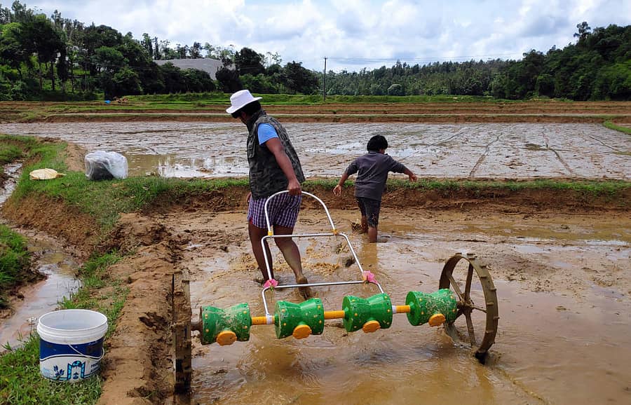 ಸಕಲೇಶಪುರ ತಾಲ್ಲೂಕಿನ ಜಾನೇಕೆರೆ ಗ್ರಾಮದಲ್ಲಿ ಡ್ರಂ ಸೀಡರ್ ಮೂಲಕ ಭತ್ತದ ಬಿತ್ತನೆ ಮಾಡುತ್ತಿರುವುದು