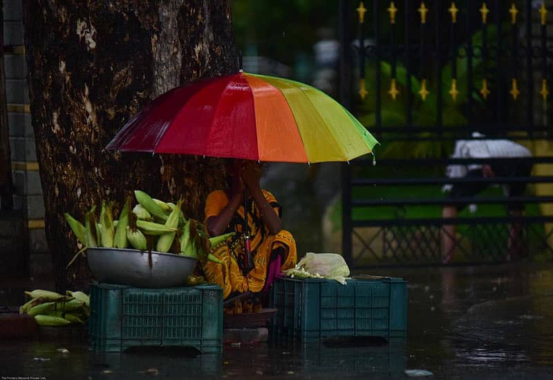 ಕಲಬುರ್ಗಿಯಲ್ಲಿ ಬುಧವಾರ ಸಂಜೆ ಸುರಿದ ಧಾರಾಕಾರ ಮಳೆಯಲ್ಲಿ ಎಸ್ ಎಂ ಪಂಡಿತ್ ರಂಗ ಮಂದಿರದ ಎದುರು ಮಳೆಯಲ್ಲೆ ಮಹಿಳೆಯೊಬ್ಬಳು ಮುಸ್ಕಿನ್ ಜೋಳ ಮಾರುತ್ತಿದ್ದು ಕಂಡು ಬಂತು