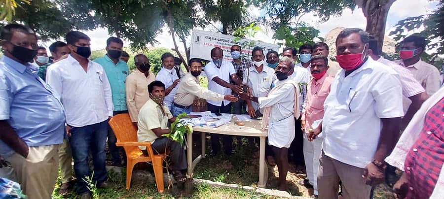 ಪಾವಗಡದಲ್ಲಿ ಶುಕ್ರವಾರ ಪರಿಶಿಷ್ಟ ಜಾತಿ, ಪಂಗಡದ ರೈತರಿಗೆ ಐಐಎಚ್ಆರ್ ನಿರ್ದೇಶಕ ಎಸ್.ಶಿವಪ್ರಸಾದ್ ಹಣ್ಣಿನ ಸಸಿ ವಿತರಿಸಿದರು