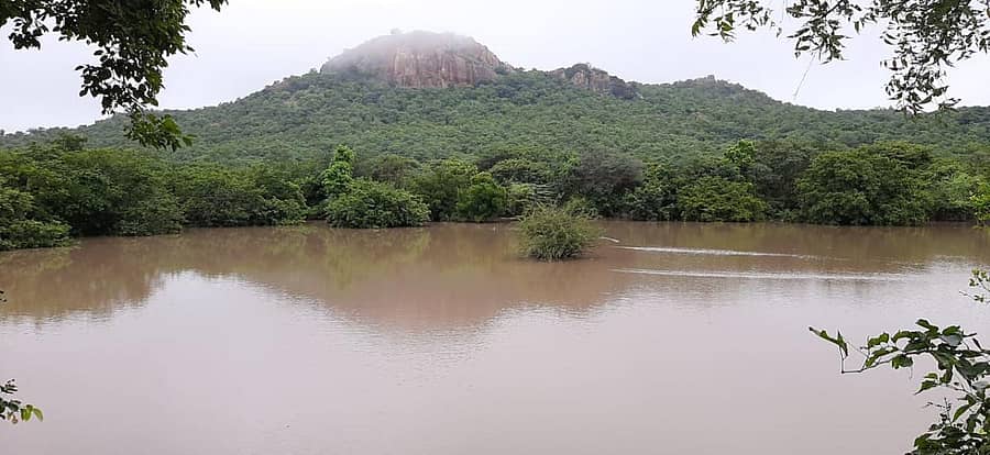 ಜಗಳೂರು ತಾಲ್ಲೂಕಿನ ರಂಗಯ್ಯನದುರ್ಗ ಅರಣ್ಯದಲ್ಲಿನ ಗೋಕಟ್ಟೆ ತುಂಬಿದೆ