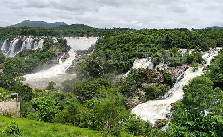 ಭೋರ್ಗರೆಯುತ್ತಿರುವ ಭರಚುಕ್ಕಿ ಜಲಪಾತ -ಪ್ರಜಾವಾಣಿ ಚಿತ್ರ: ಅವಿನ್ ಪ್ರಕಾಶ್ ವಿ.