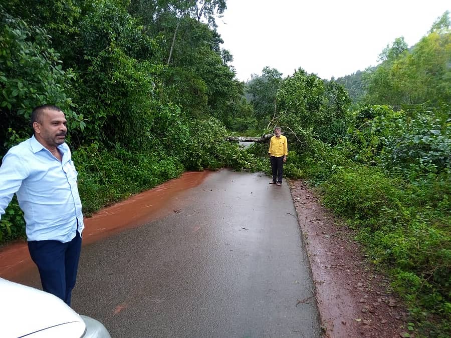 ಬಾಳೆಹೊನ್ನೂರು ಬಳಿಯ ಹೆಗ್ಗದ್ದೆ ಸಮೀಪ ಮರವೊಂದು ರಸ್ತೆಗೆ ಅಡ್ಡಲಾಗಿ ಉರುಳಿದೆ.
