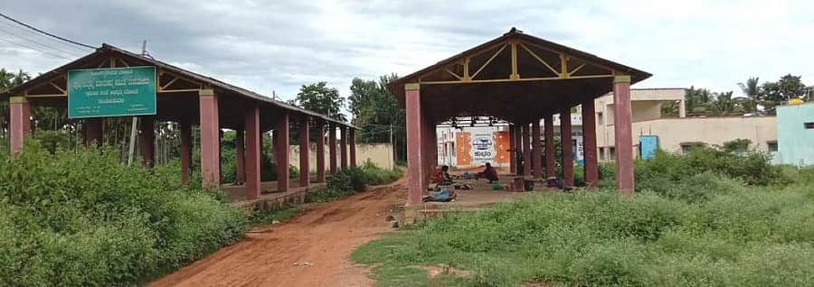 ದಂಡಿನಶಿವರ ಹೋಬಳಿ ಕೇಂದ್ರದ ಉಪಮಾರುಕಟ್ಟೆ ಸಮುಚ್ಚಯದ ಸುತ್ತ ಗಿಡಗಳು ಬೆಳೆದು ನಿಂತಿವೆ