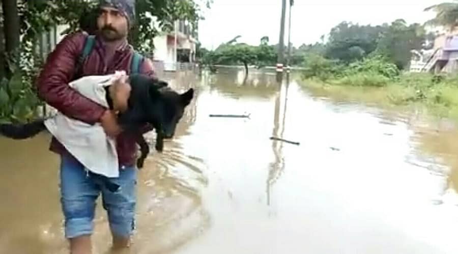 ಕುಶಾಲನಗರದಲ್ಲಿ ಸಾಕು ಪ್ರಾಣಿಗಳೊಂದಿಗೆ ಮನೆ ತೊರೆದ ವ್ಯಕ್ತಿ 