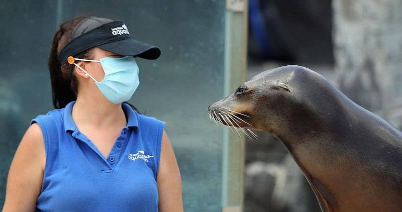 ಸಾಂಕೇತಿಕ ಚಿತ್ರ