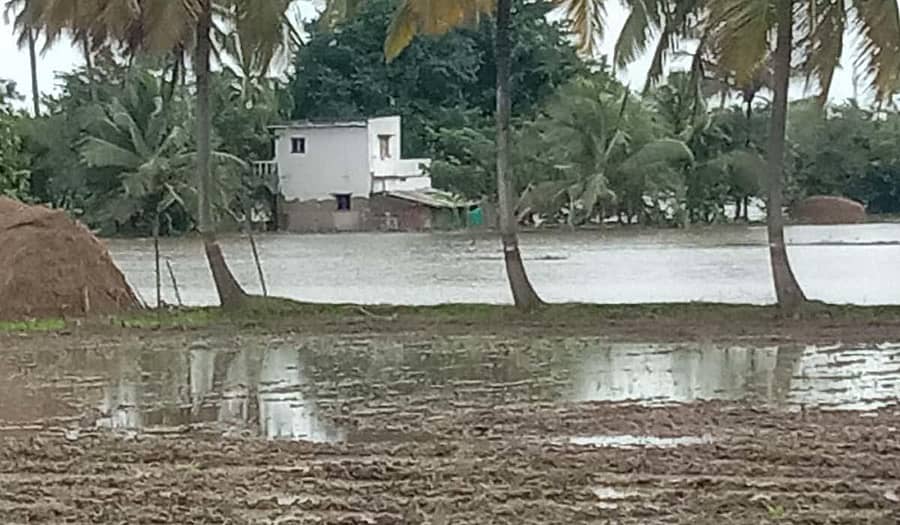 ಕಪಿಲಾ ನದಿ ಪ್ರವಾಹದಿಂದ ಶನಿವಾರ ವರುಣಾ ಹೋಬಳಿಯ ಬೊಕ್ಕಳ್ಳಿ ಗ್ರಾಮದ ತೋಟದ ಮನೆ ನೀರಿನಿಂದ ಆವೃತ್ತವಾಗಿರುವುದು.