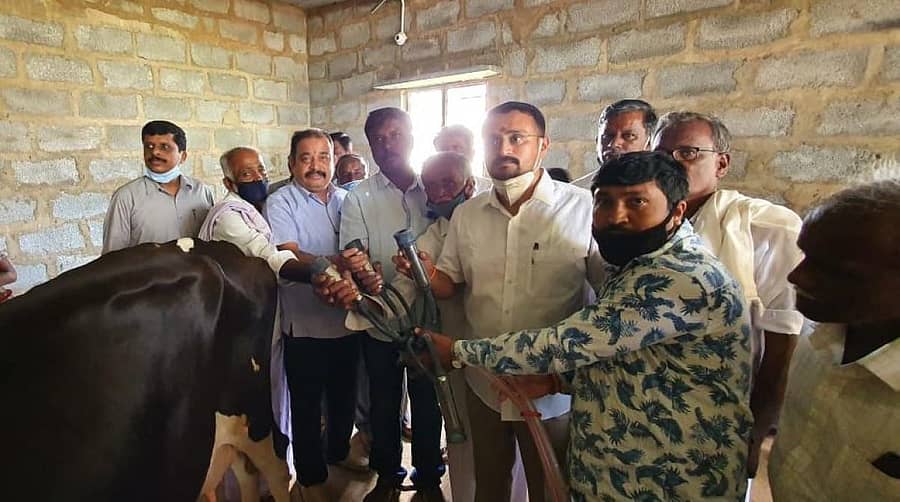 ಕೋಚಿಮುಲ್ ನಿರ್ದೇಶಕ ಡಿ.ವಿ.ಹರೀಶ್ ಕೋಲಾರ ತಾಲ್ಲೂಕಿನ ಮಾರೇನಹಳ್ಳಿ ಹಾಲು ಉತ್ಪಾದಕರ ಸಹಕಾರ ಸಂಘದಲ್ಲಿ ಶನಿವಾರ ಸಮೂಹ ಹಾಲು ಕರೆಯುವ ಯಂತ್ರಗಳಿಗೆ ಚಾಲನೆ ನೀಡಿದರು.