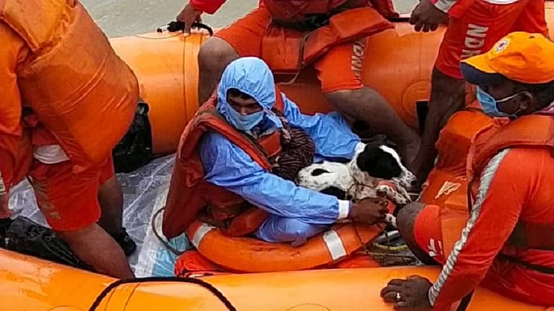 ಕುರಿಗಾಹಿ ಯುವಕನ ರಕ್ಷಣೆ ವೇಳೆ ಆತ ಹಿಡಿದಿರುವ ಸಾಕು ನಾಯಿ