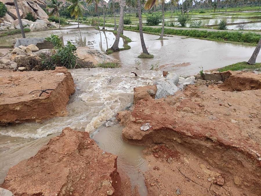 ಗಂಗಾವತಿ ತಾಲ್ಲೂಕಿನ ಬಸವನದುರ್ಗಾ ಗ್ರಾಮ ಸಮೀಪದ ವಿಜಯನಗರ ಕಾಲುವೆ ಹೊಡೆದು ಜಮೀನುಗಳಿಗೆ ನೀರು ಹರಿಯುತ್ತಿರುವುದು.