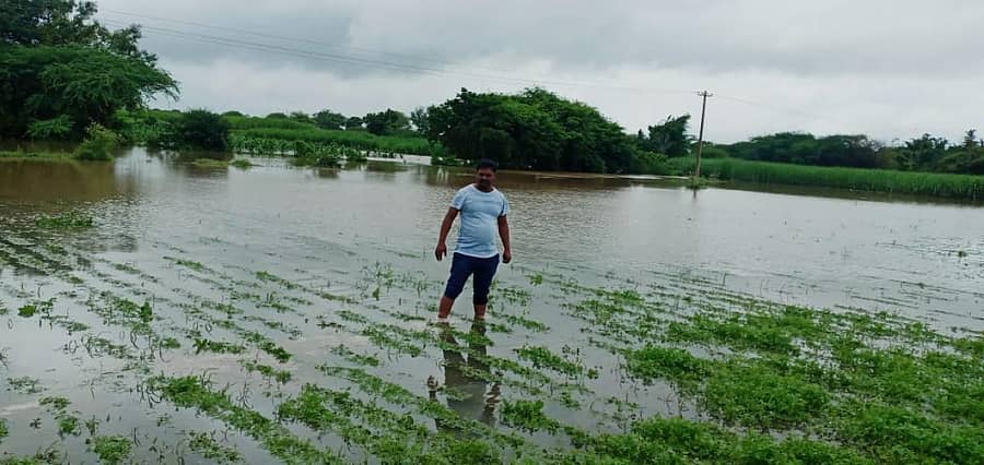 ಅಕ್ಕತಂಗೇರಹಾಳದಲ್ಲಿ ಬೆಳೆ ಮುಳುಗಡೆ ಆಗಿರುವುದನ್ನು ರೈತರು ತೋರಿಸಿದರು
