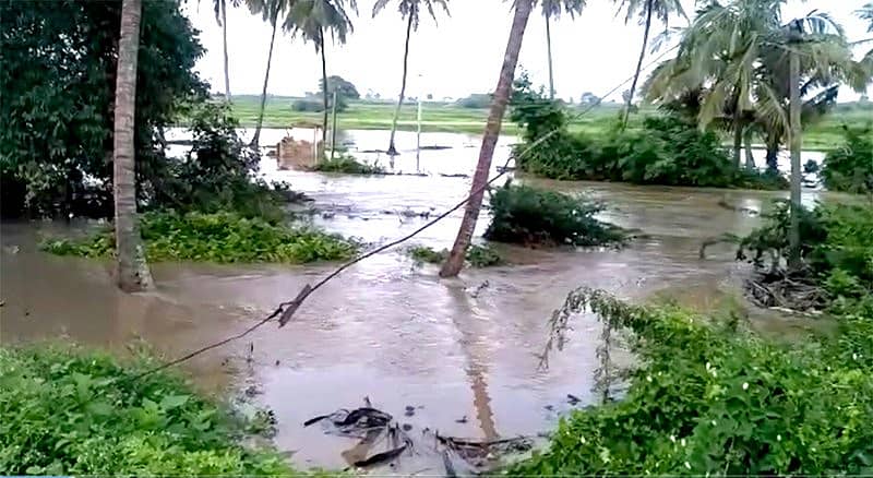 ಸಾಂದರ್ಭಿಕ ಚಿತ್ರ