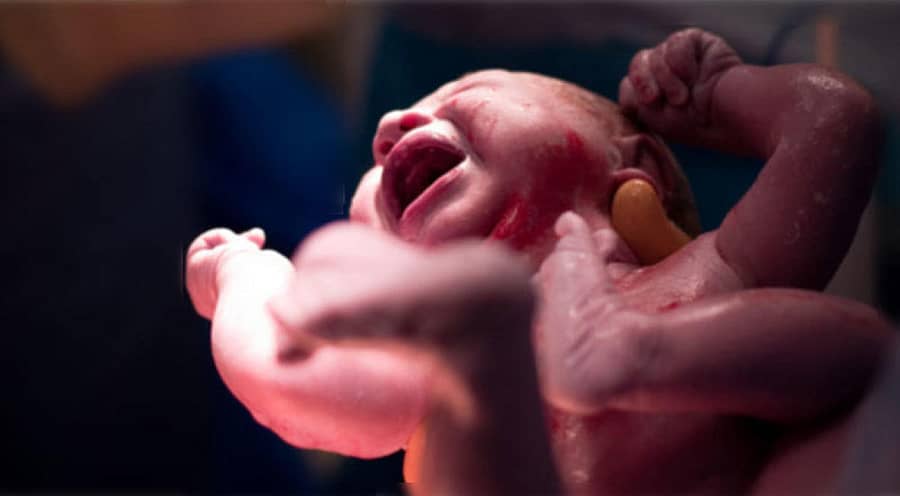 ಪ್ರಾತಿನಿಧಿಕ ಚಿತ್ರ