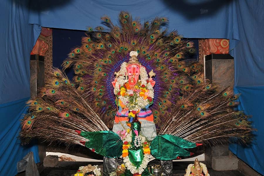 ಶಿರಾದ ವಿದ್ಯಾಗಣಪತಿ ದೇವಸ್ಥಾನದಲ್ಲಿ ಪ್ರತಿಷ್ಠಾಪಿಸಿರುವ ನವಿಲು ಗಣೇಶ ಮೂರ್ತಿ