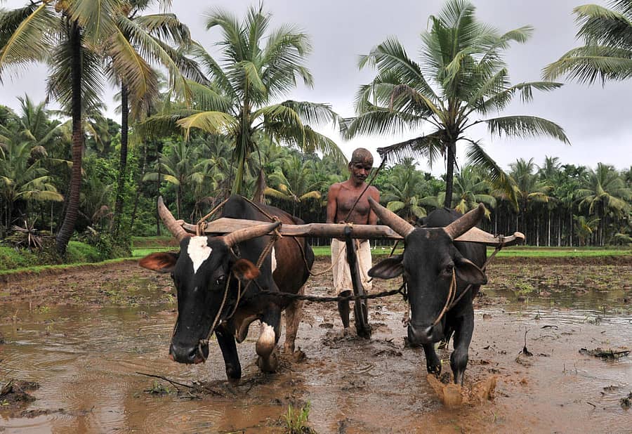 ಸಾಂದರ್ಭಿಕ ಚಿತ್ರ