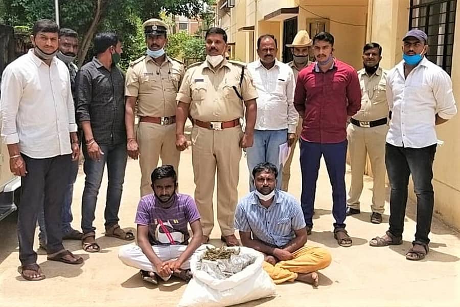 ಗಾಂಜಾ ಮಾರಾಟಕ್ಕೆ ಯತ್ನಿಸಿದ ಆರೋಪಿಗಳೊಂದಿಗೆ ಪೊಲೀಸರು