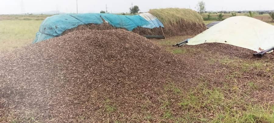 ಪಾವಗಡ ತಾಲ್ಲೂಕು ಬಿ.ಕೆ.ಹಳ್ಳಿ ಮಾರಪ್ಪ ಅವರ ಜಮೀನಿನ ಬಳಿ ಕಟಾವು ಮಾಡಿ ಬಣವೆಗೆ ಹಾಕಿದ್ದ ಶೇಂಗಾ ಮಂಗಳವಾರ ಬಿದ್ದ ಮಳೆಯಿಂದ ಹಾಳಾಗಿದೆ