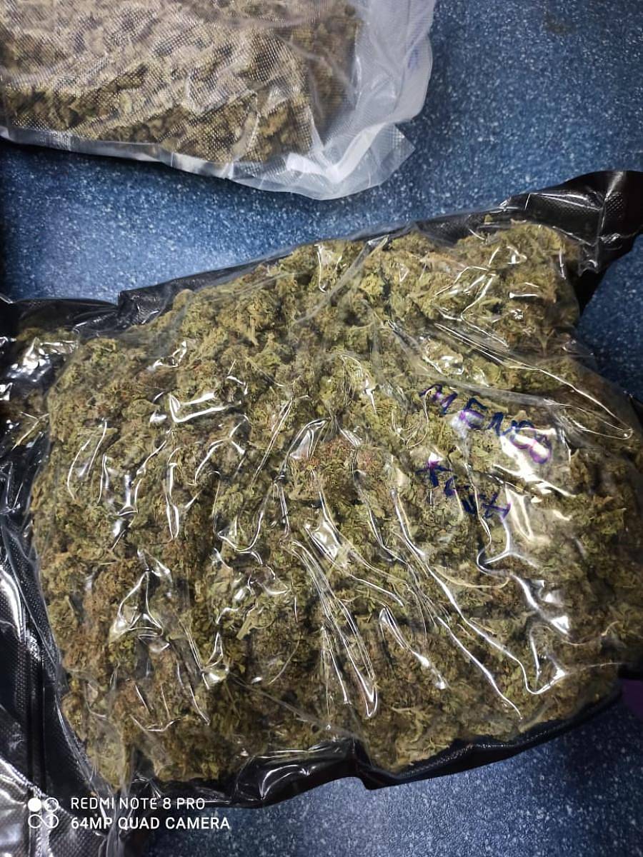 ಜಪ್ತಿ ಮಾಡಲಾದ ಗಾಂಜಾ ಮೊಗ್ಗು