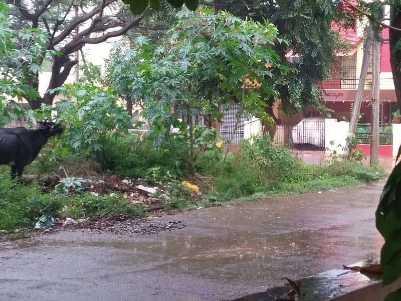 ಹುಬ್ಬಳ್ಳಿಯಲ್ಲಿ ಸುರಿದ ಭಾರಿ ಮಳೆ