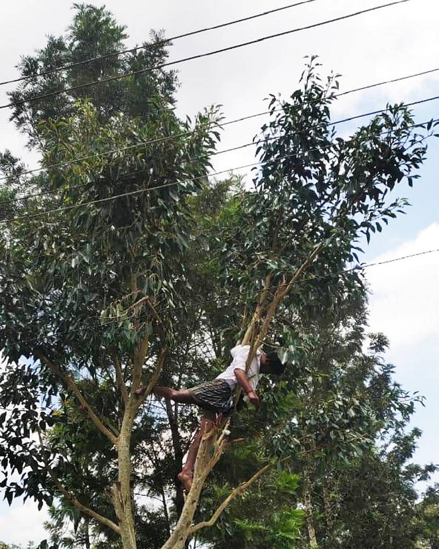 ರಾಮನಾಥಪುರ ಹೋಬಳಿಯ ರಾಗಿಮರೂರು ಗ್ರಾಮದಲ್ಲಿ ಮರಕ್ಕೆ ವಿದ್ಯುತ್ ತಂತಿ ತಗುಲಿ ವ್ಯಕ್ತಿ ಮೃತಪಟ್ಟಿರುವುದು