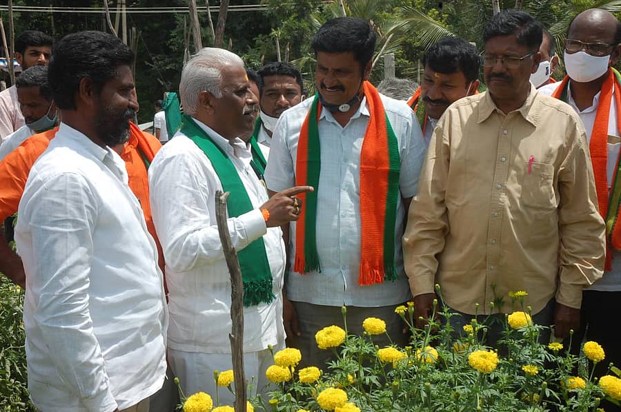 ಕೋಲಾರ ಸಮೀಪದ ವಡಗೂರುಗ್ರಾಮದಲ್ಲಿ ಭಾನುವಾರ ರೈತ ಮೋರ್ಚಾ ಅಧ್ಯಕ್ಷ ಈರಣ್ಣ ಕಡಾಡಿ ಬೆಳೆ ವೀಕ್ಷಿಸಿದರು