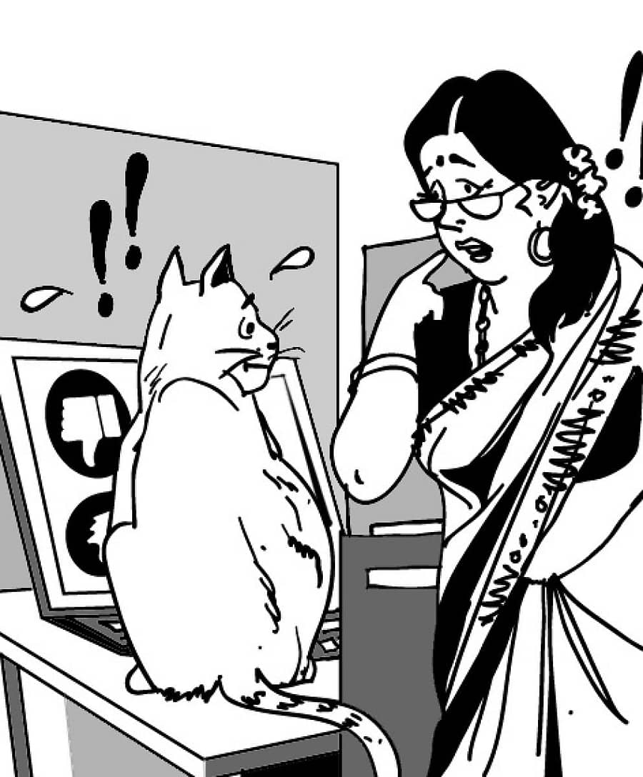 ಪ್ರಾತಿನಿಧಿಕ ಚಿತ್ರ