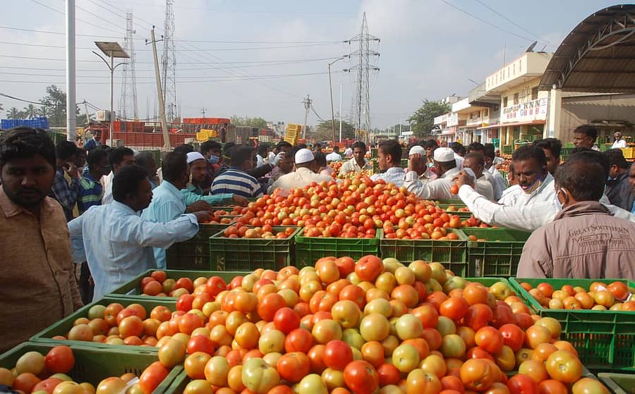 ಕೋಲಾರ ಎಪಿಎಂಸಿಯಲ್ಲಿ ಟೊಮೆಟೊ ವಹಿವಾಟಿನ ನೋಟ.