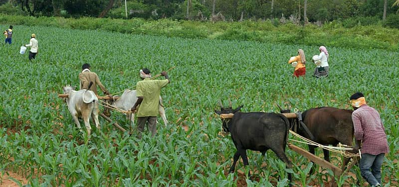 ಪ್ರಾತಿನಿಧಿಕ ಚಿತ್ರ