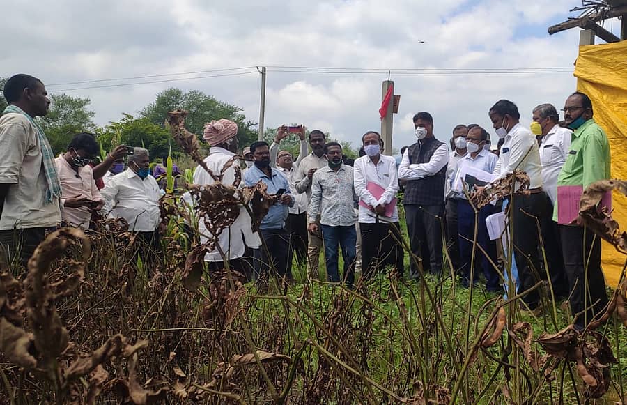 ಪ್ರವಾಹದಿಂದ ಹಾನಿಗೊಳಗಾಗಿರುವ ವಿವಿಧ ಪ್ರದೇಶಗಳಿಗೆ ಕೇಂದ್ರ ಅಧ್ಯಯನ ತಂಡ ಭೇಟಿ ನೀಡಿತ್ತು.