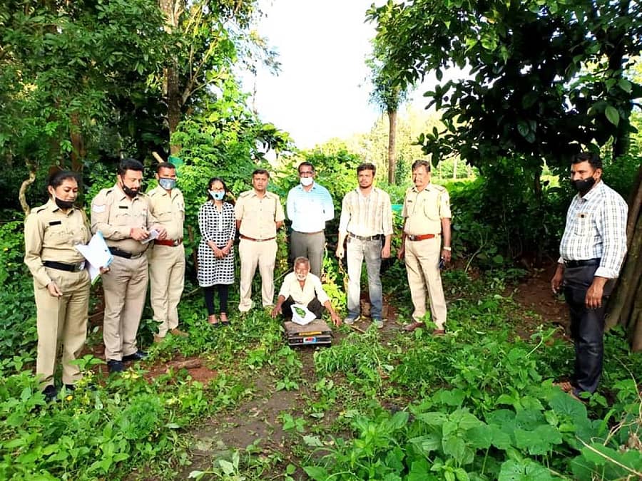 ಶನಿವಾರಸಂತೆ ಸಮೀಪದ ನಿಲುವಾಗಿಲು ಗ್ರಾಮದ ಮನೆಯ ಹಿಂಭಾಗದ ತೋಟದಲ್ಲಿ ಬೆಳೆದಿದ್ದ ಗಾಂಜಾ ಗಿಡಗಳನ್ನು ವಶಪಡಿಸಿಕೊಂಡ ಪೊಲೀಸರು ಆರೋಪಿ ಶಾಂತರಾಜ್ ಎಂಬಾತನನ್ನು ಬಂಧಿಸಿರುವುದು