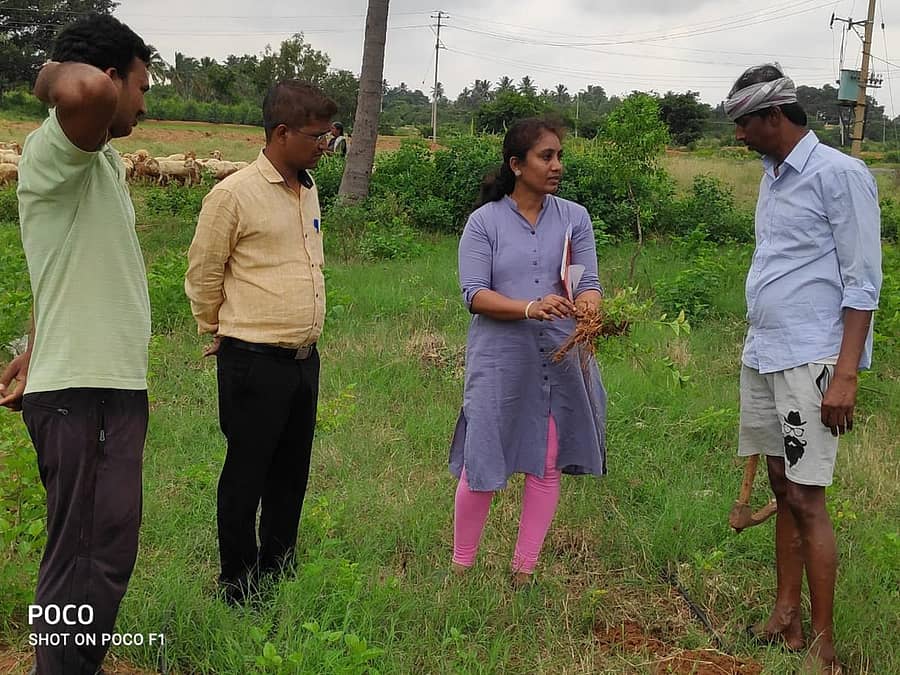 ಚಿಂತಾಮಣಿ ತಾಲ್ಲೂಕಿನ ಕುರುಬೂರಿನಲ್ಲಿ ಕೃಷಿ ವಿಜ್ಞಾನ ಕೇಂದ್ರವು ಹಮ್ಮಿಕೊಂಡಿದ್ದ ಹೊರಾಂಗಣ ತರಬೇತಿ ಪ್ರಾತ್ಯಕ್ಷಿಕೆ ಕಾರ್ಯಕ್ರಮದಲ್ಲಿ ರೇಷ್ಮೆ ವಿಜ್ಞಾನಿ ಡಾ.ಕೆ.ಎಸ್.ವಿನೋದಾ ತರಬೇತಿ ನೀಡಿದರು