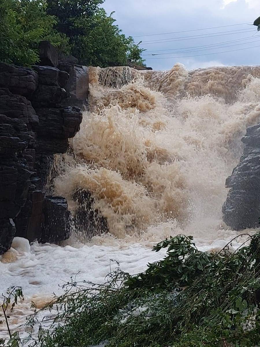 ಕಲಬುರ್ಗಿ ಜಿಲ್ಲೆ ಚಿಂಚೋಳಿ ತಾಲ್ಲೂಕಿನ ಚಿಮ್ಮನಚೋಡ ಬಳಿ ಮಂಗಳವಾರ ಸುರಿದ ಮಳೆಗೆ ಧುಮ್ಮಿಕ್ಕಿ ಹರಿದ ನೆಲಗಂಗಿ ಜಲಪಾತಚಿತ್ರ: ಜಗನ್ನಾಥ ಶೇರಿಕಾರ