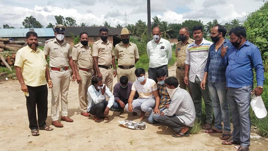 ಬೇಲೂರು ಪಟ್ಟಣದ ಬದ್ರಿಯಾ  ಸಾಮೀಲ್ ಹಿಂಭಾಗ ಗಾಂಜಾ ಸೇವನೆ ಮತ್ತು ಮಾರಾಟ ಮಾಡಲು ಯತ್ನಿಸುತ್ತಿದ್ದ ಆರೋಪಿಗಳನ್ನು ಪೊಲೀಸರು ಬಂಧಿಸಿದರು.