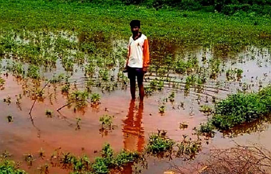 ಬಸವಕಲ್ಯಾಣ ತಾಲ್ಲೂಕಿನ ಮುಡಬಿಯಲ್ಲಿನ ಹೊಲದಲ್ಲಿ ನೀರು ಸಂಗ್ರಹಗೊಂಡಿರುವುದು