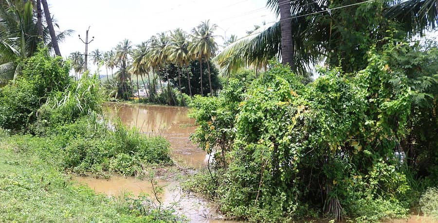ಉಗರಗೋಳದಲ್ಲಿ ಹೊಲ ಗದ್ದೆಗಳಿಗೆ ಮಳೆ ನೀರು ನುಗ್ಗಿದೆ