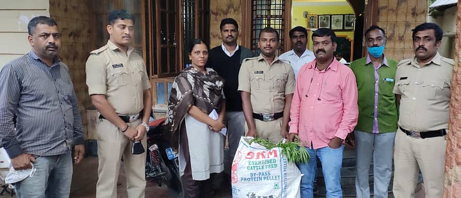 ಗಾಂಜಾ ಗಿಡವನ್ನು ಶುಕ್ರವಾರ ಅಬಕಾರಿ ಅಧಿಕಾರಿಗಳು ವಶಕ್ಕೆ ತೆಗೆದುಕೊಂಡರು