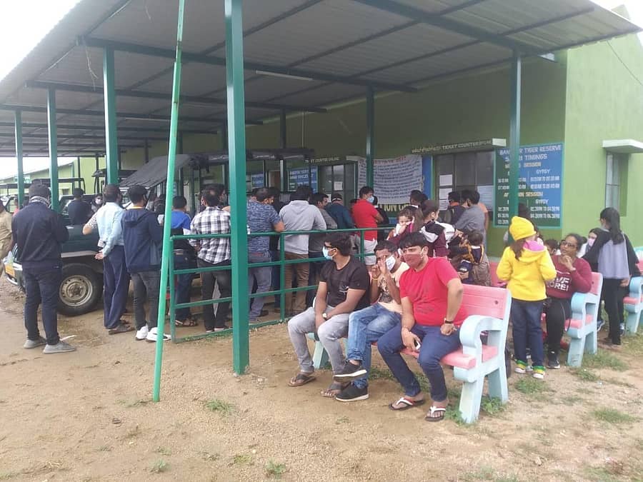 ಬಂಡೀಪುರ ಸಫಾರಿ ಕೌಂಟರ್ನಲ್ಲಿ ಟಿಕೆಟ್ಗಾಗಿ ಸರತಿ ಸಾಲಿನಲ್ಲಿ ನಿಂತಿದ್ದ ಪ್ರವಾಸಿಗರು