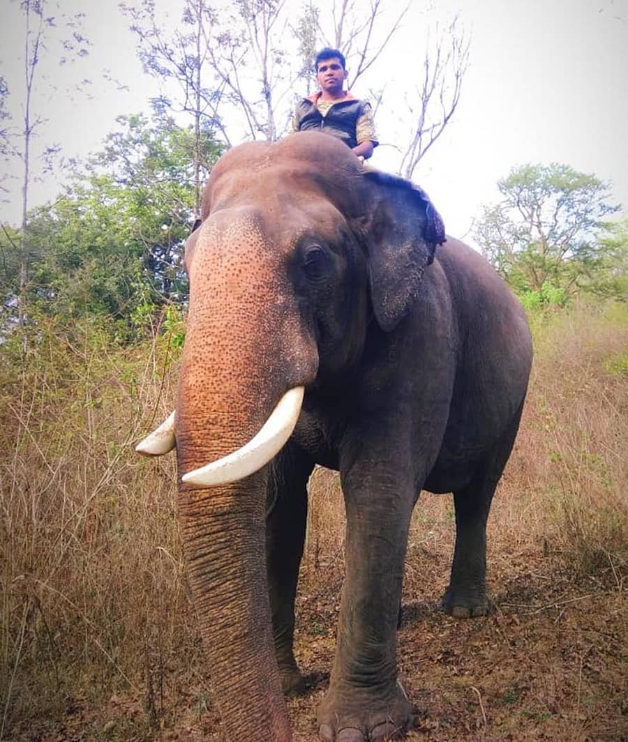 ಅಭಿಮನ್ಯು